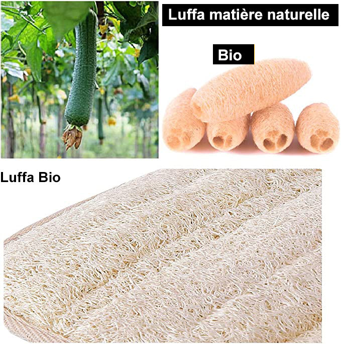 Lingette Luffa Naturelle pour une hygiène dorsal.