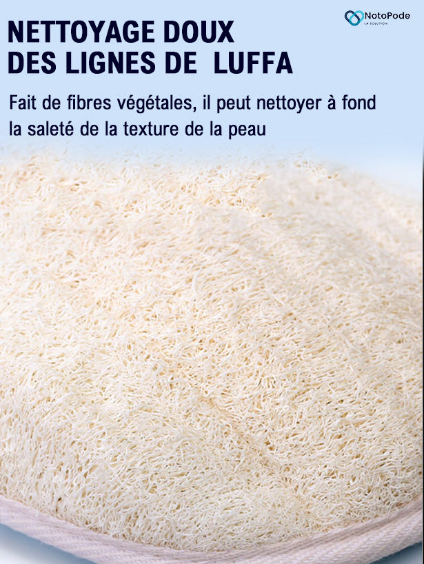 Lingette Luffa Naturelle pour une hygiène dorsal.